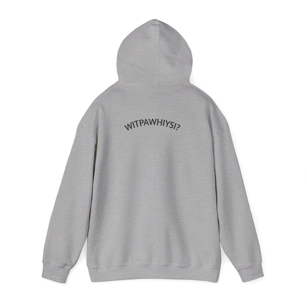 Check Your Gnome Scale Hoodie