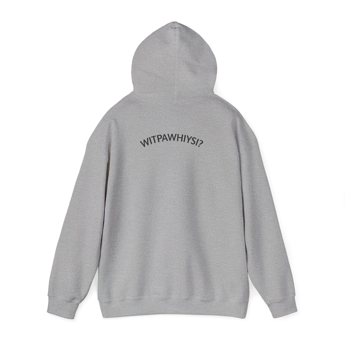 Check Your Gnome Scale Hoodie