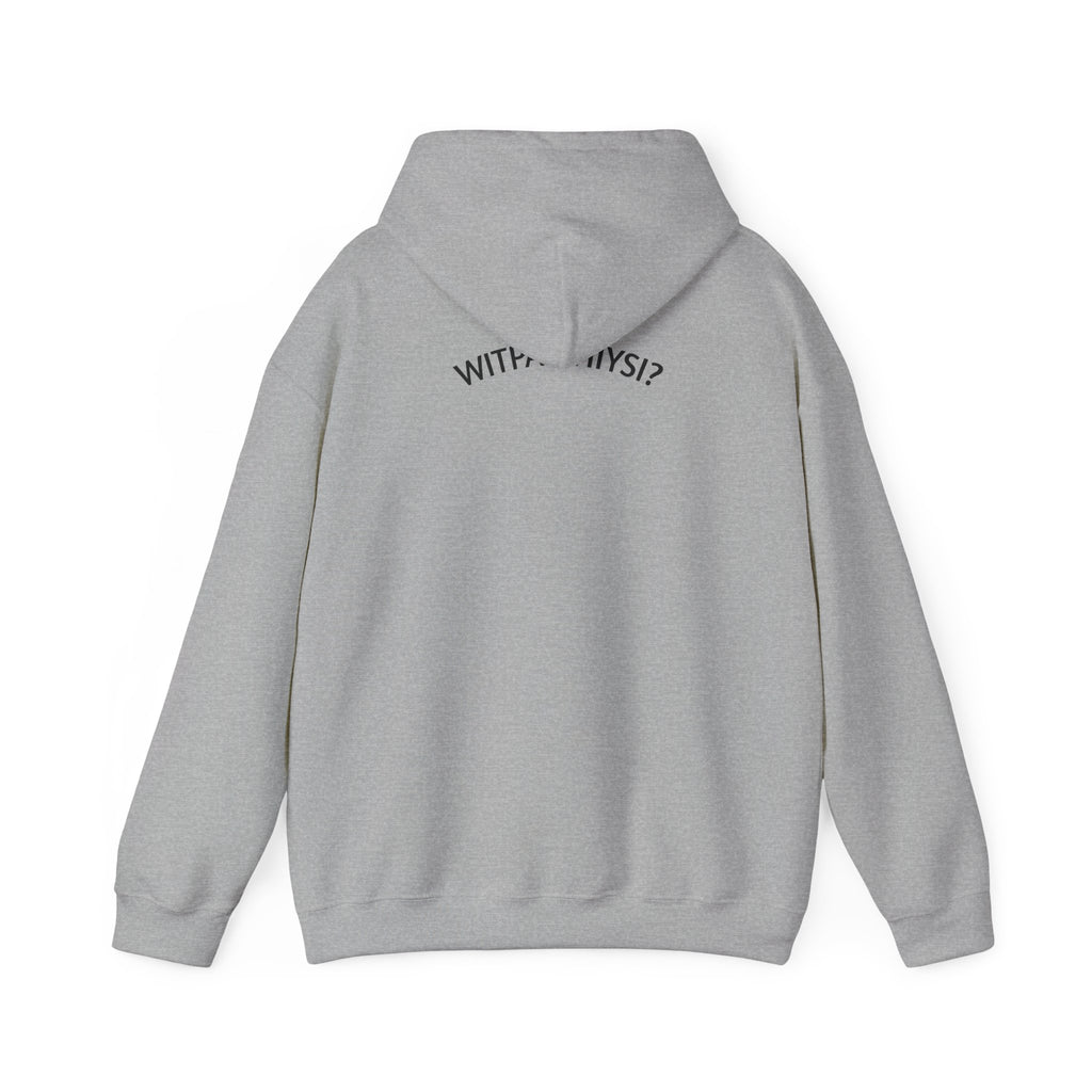 Check Your Gnome Scale Hoodie