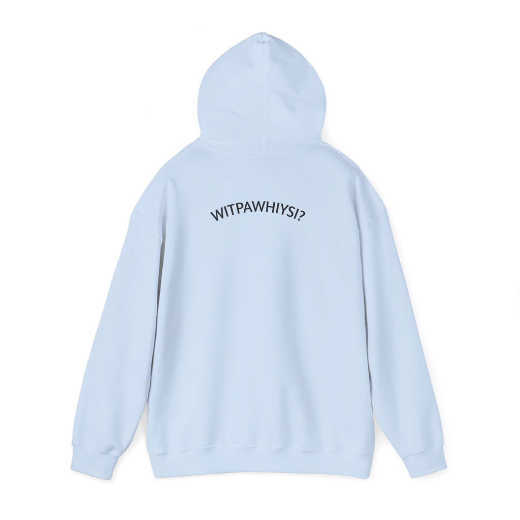 Check Your Gnome Scale Hoodie