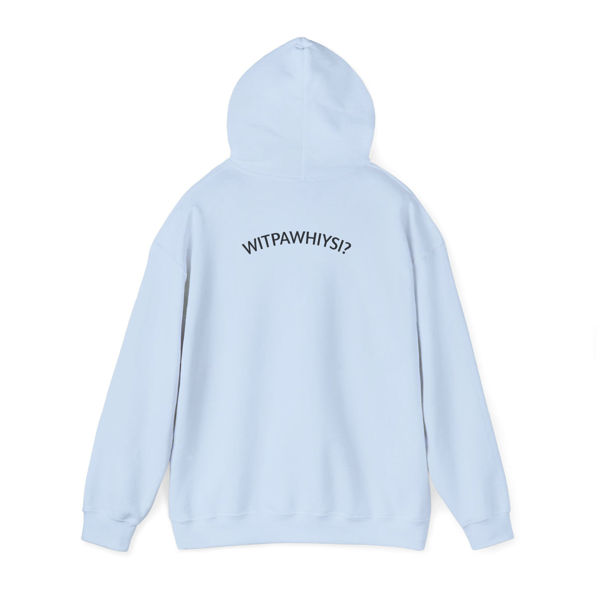 Check Your Gnome Scale Hoodie