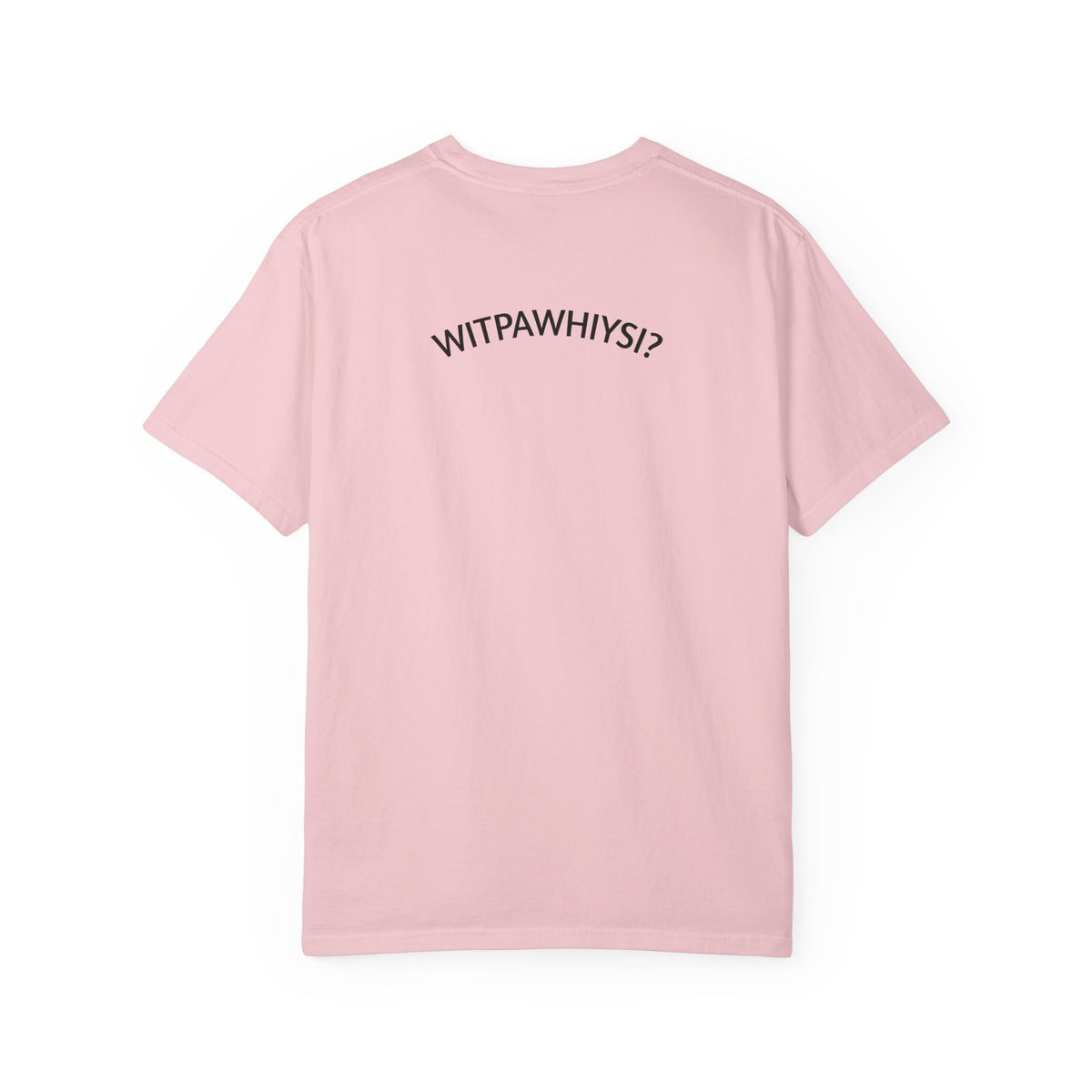 Check Your Gnome Scale T-Shirt