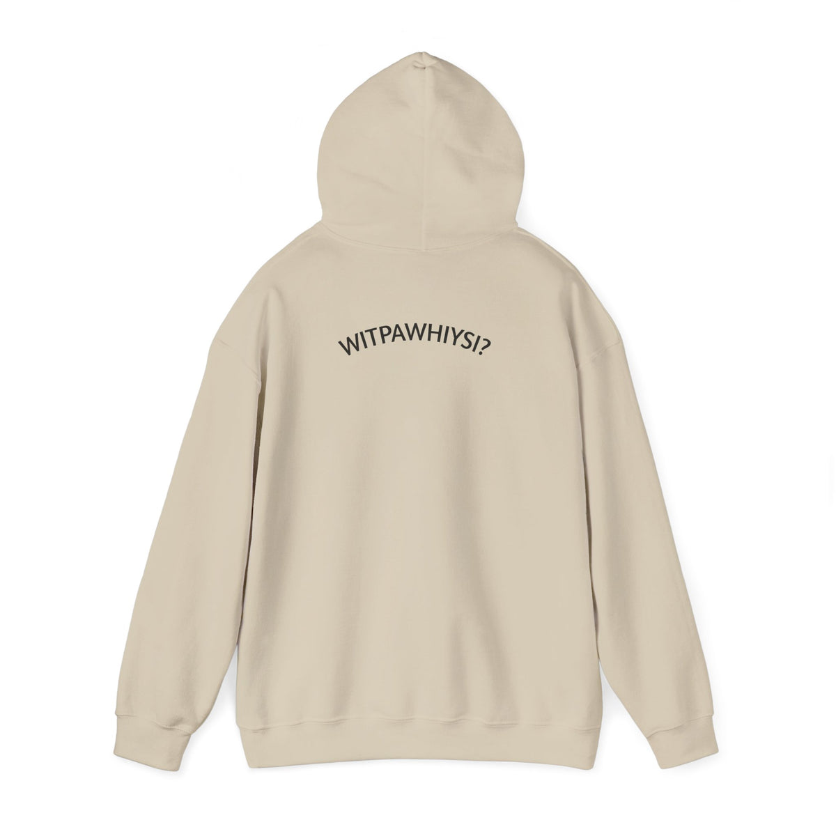 Check Your Gnome Scale Hoodie