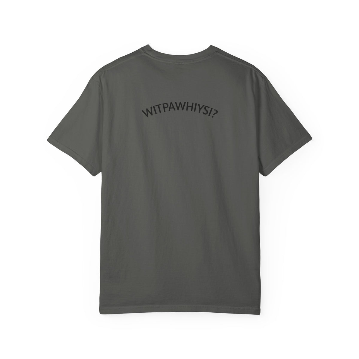 Check Your Gnome Scale T-Shirt