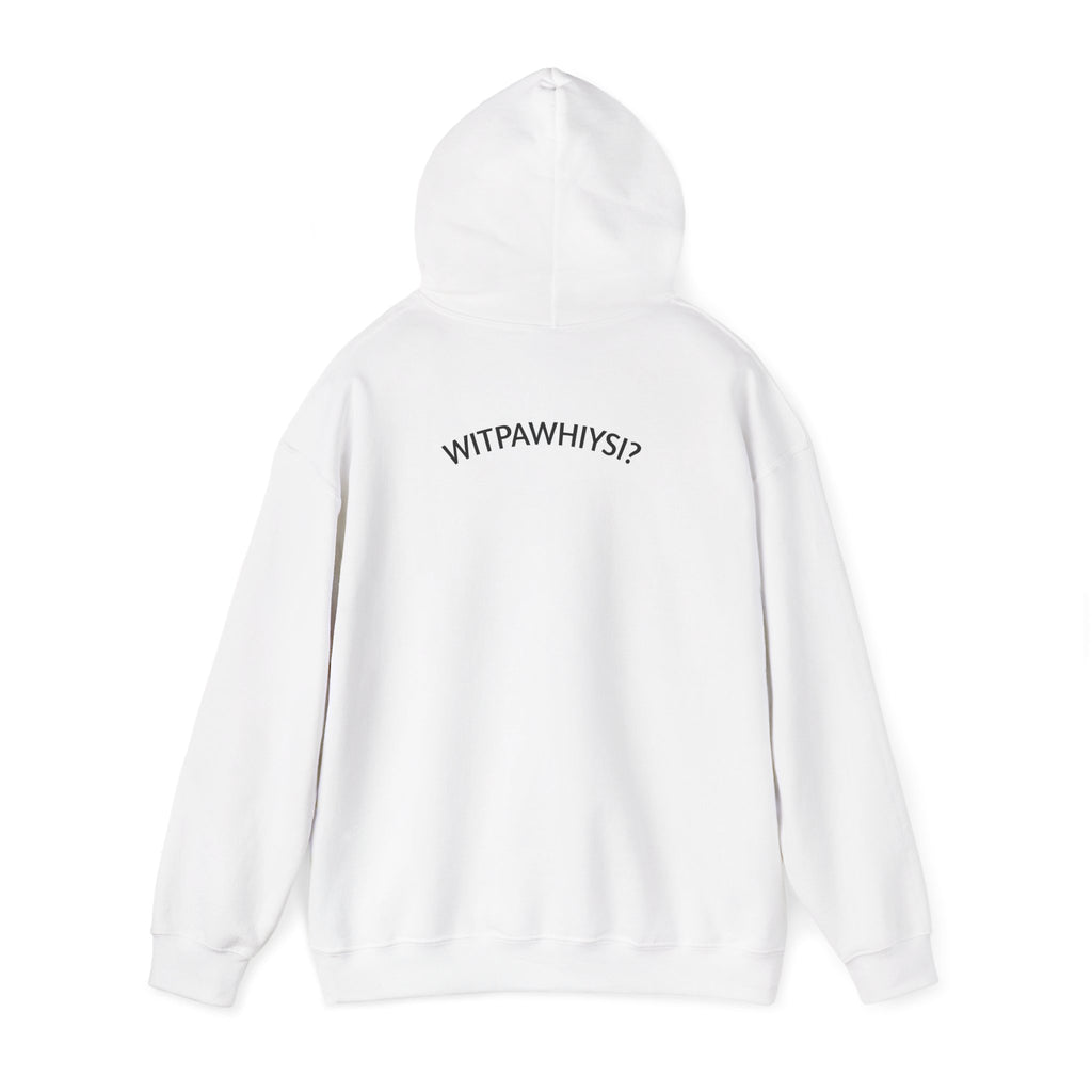 Check Your Gnome Scale Hoodie