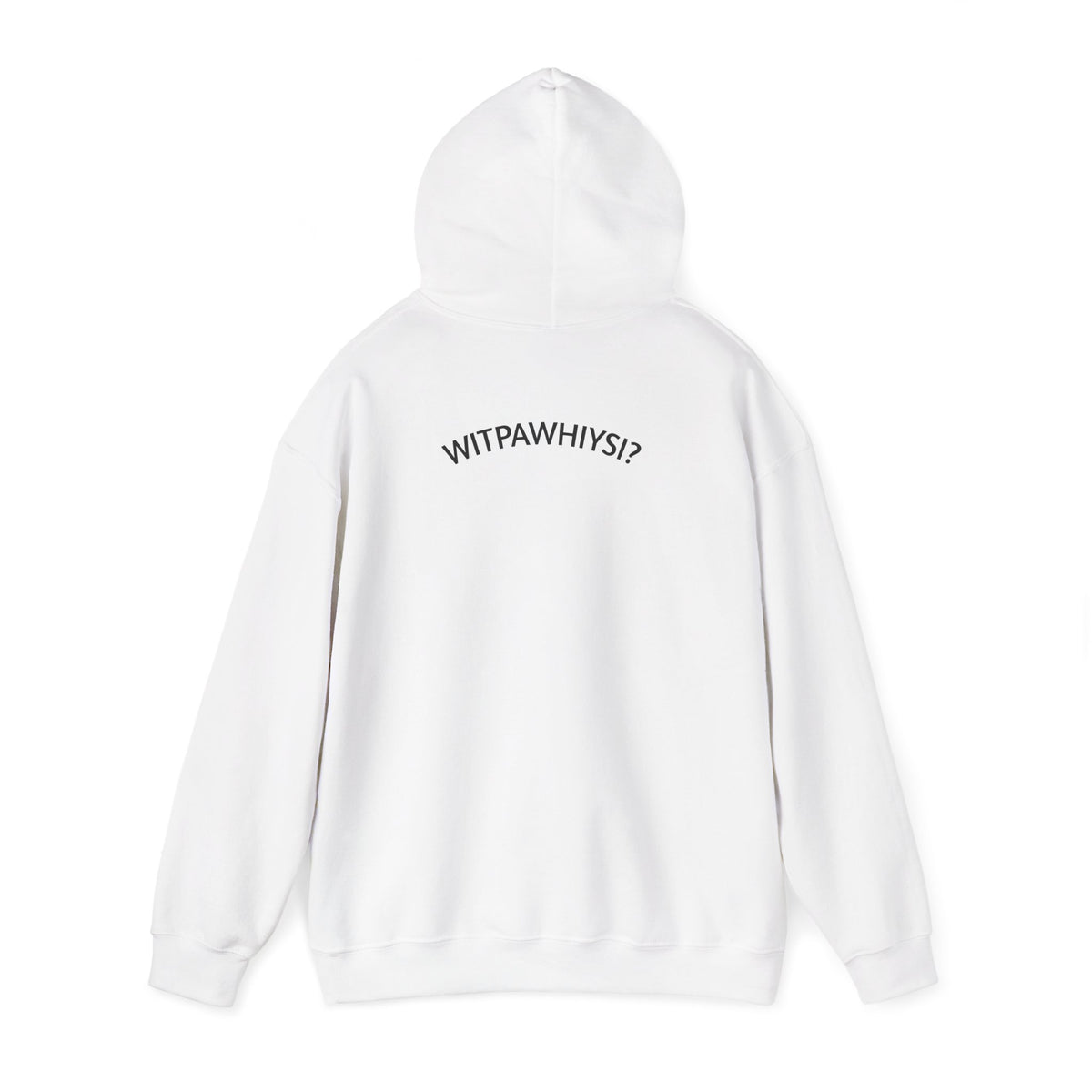 Check Your Gnome Scale Hoodie