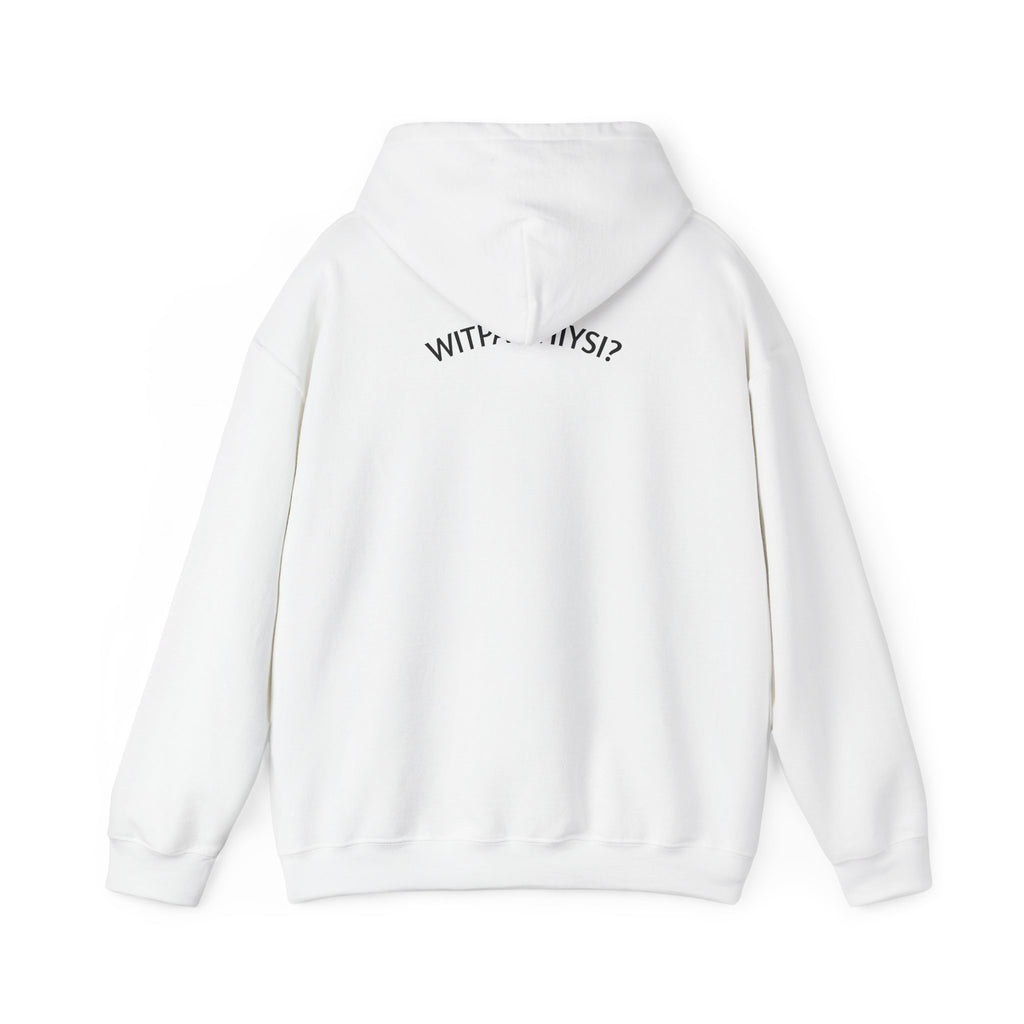 Check Your Gnome Scale Hoodie