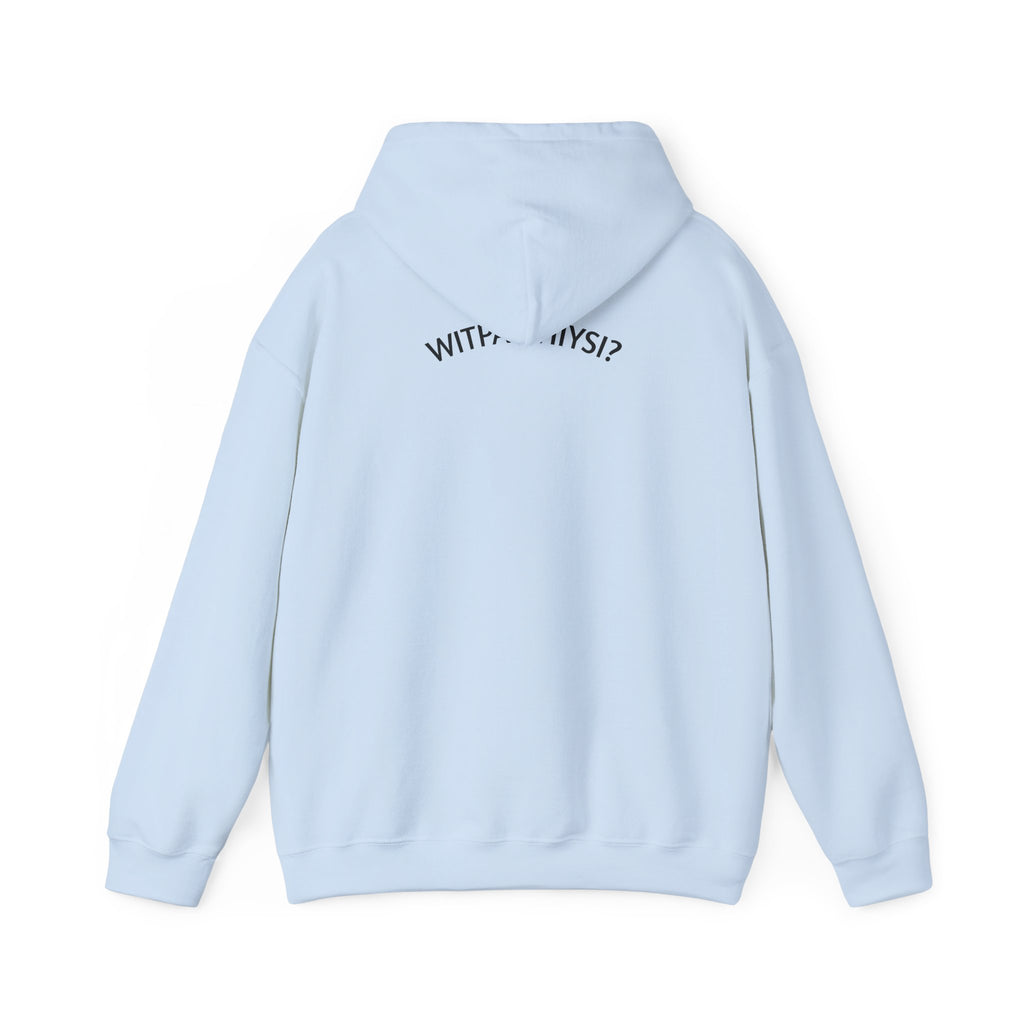 Check Your Gnome Scale Hoodie